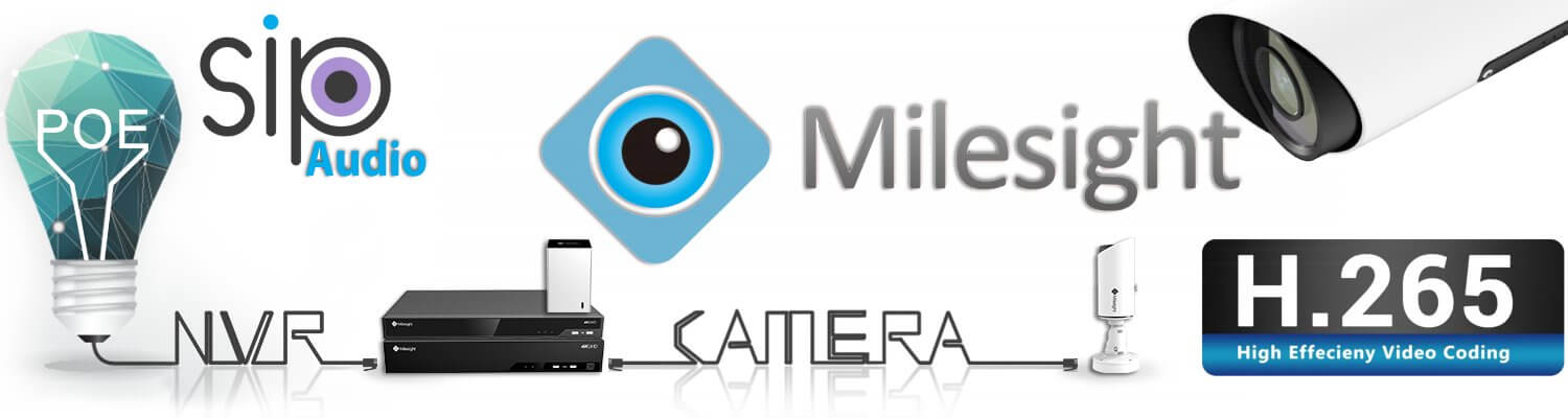 Milesight CCTV Camera